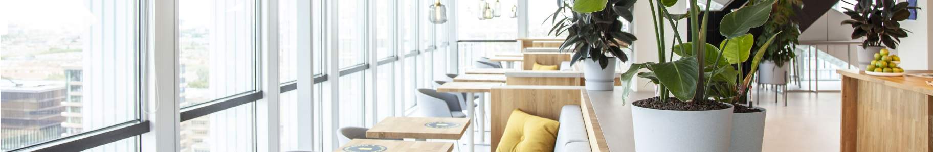 Business Course Madrid
